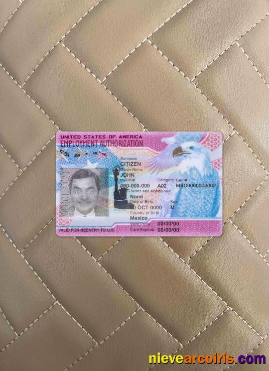 USA employment authorization photolook